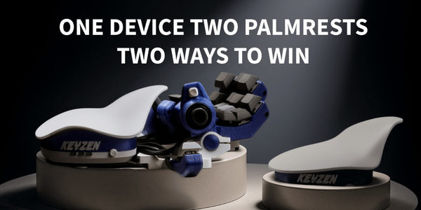 Azeron Keyzen includes both curved and flat palmrests