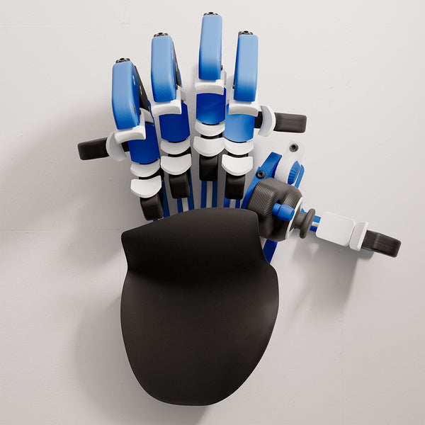 Raspberry Blue Cyborg II